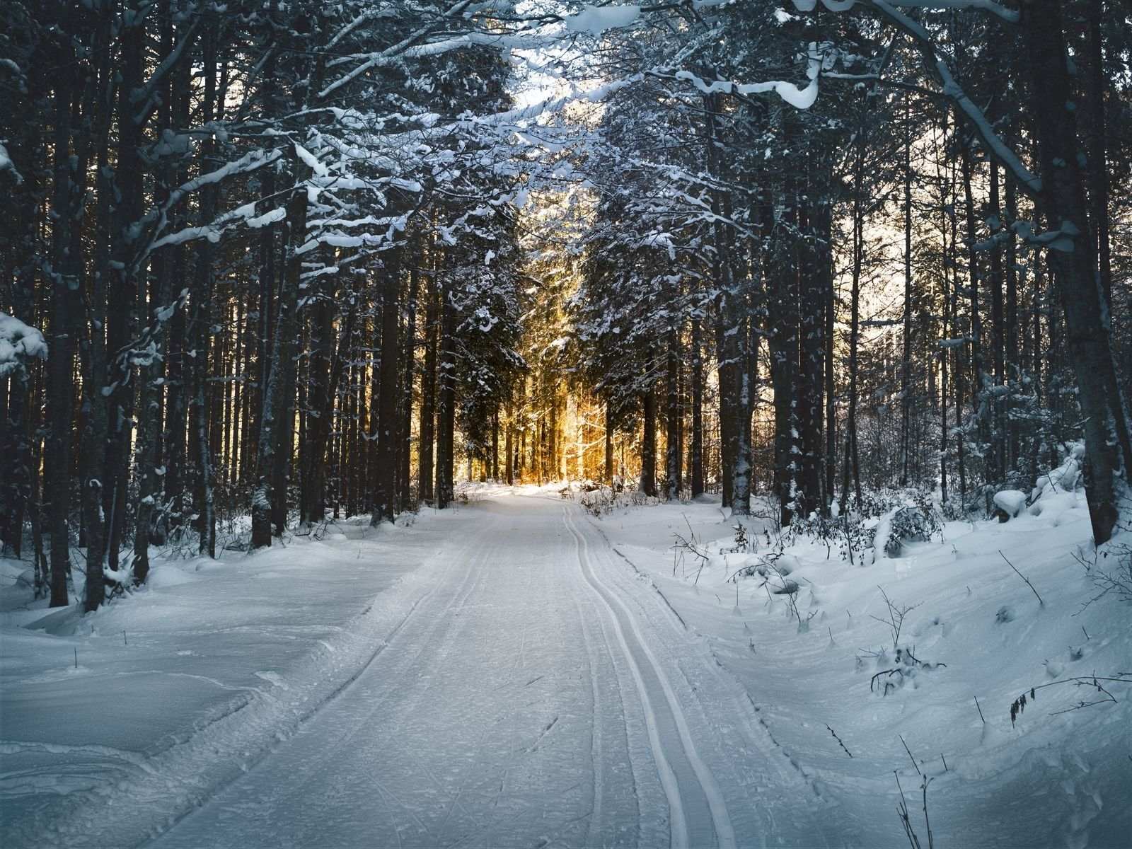 Snowy Hokkaido landscape